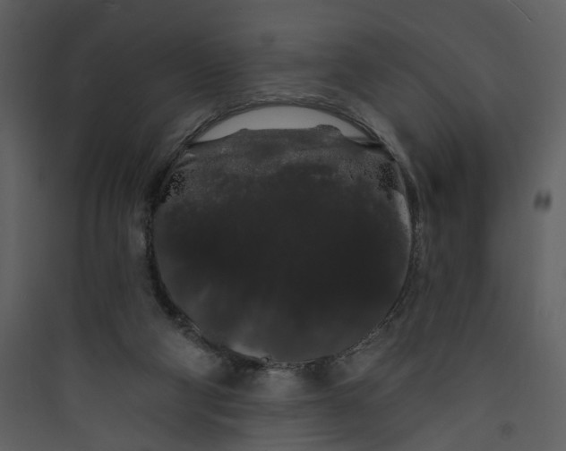X0000089760114200707121412