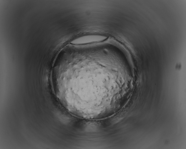 X0000089760115200707121412