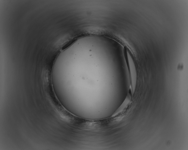 X0000089760117200707121412