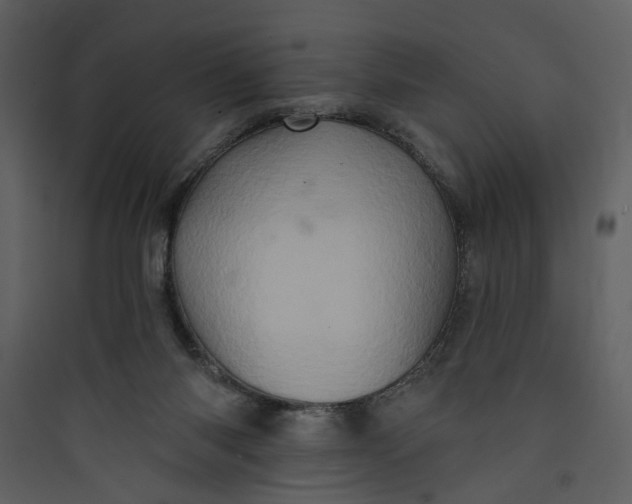 X0000089760118200707121412