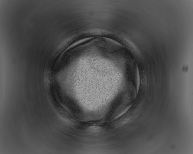 X0000089760119200707121412