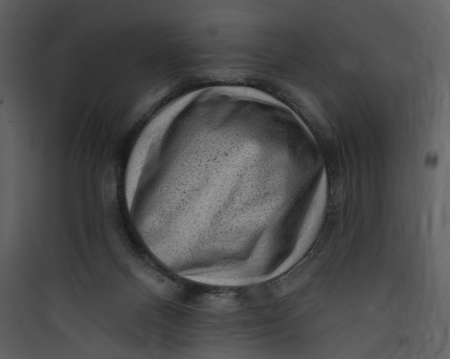 X0000089760120200707121412