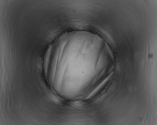 X0000089760121200707121412