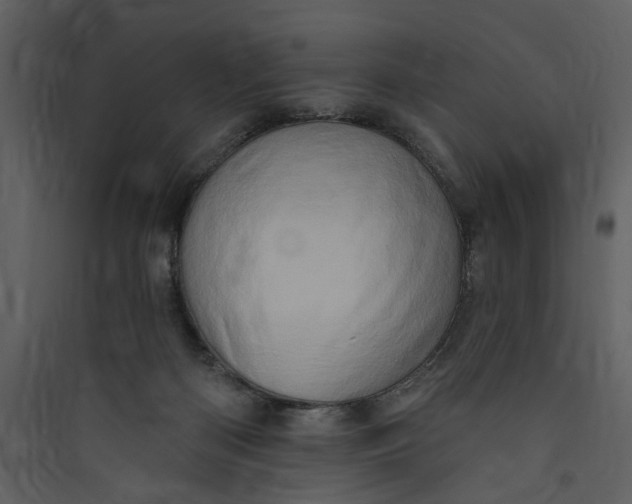 X0000089760122200707121412