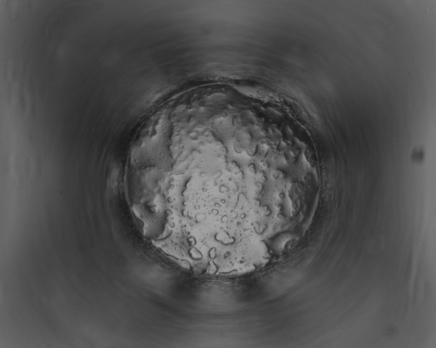 X0000089760123200707121412