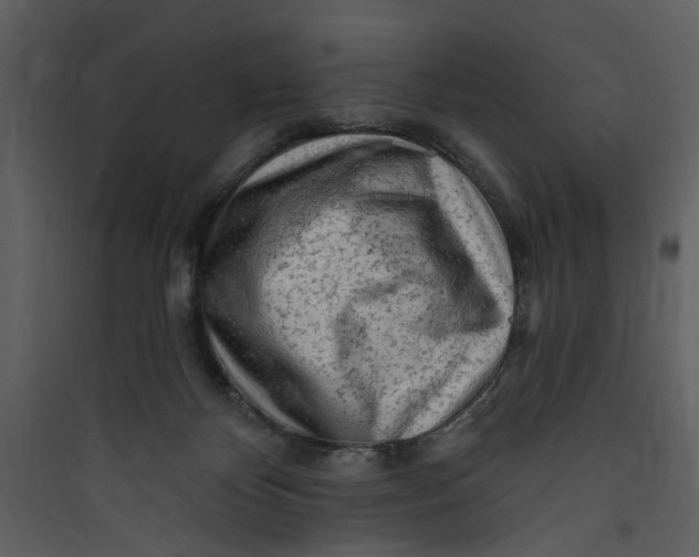 X0000089760124200707121412