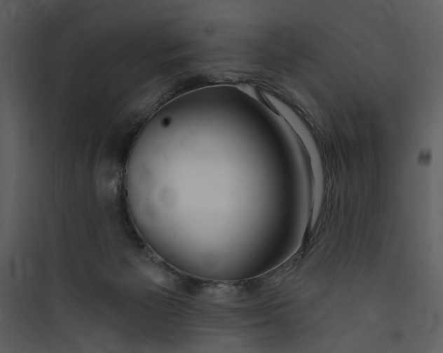 X0000089760125200707121412
