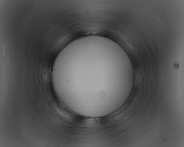 X0000089760126200707121412