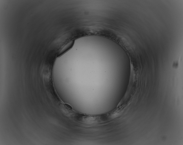 X0000089760129200707121412