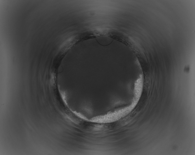 X0000089760130200707121411