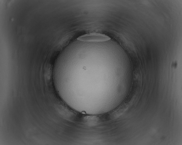 X0000089760133200707121411