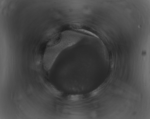 X0000089760134200707121411