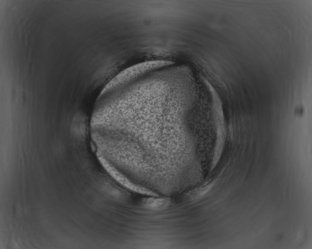 X0000089760135200707121411