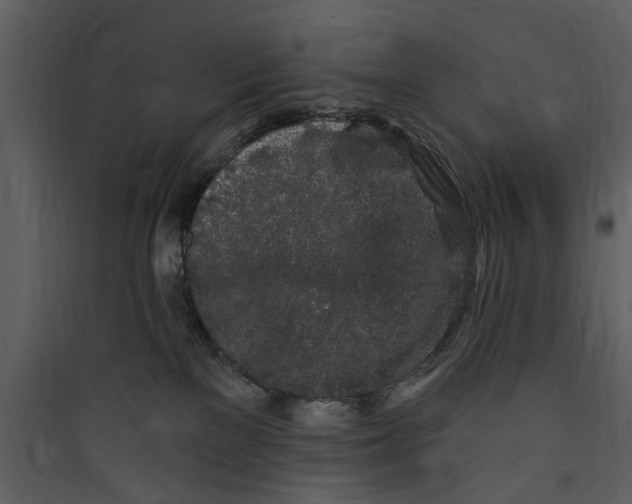 X0000089760137200707121411