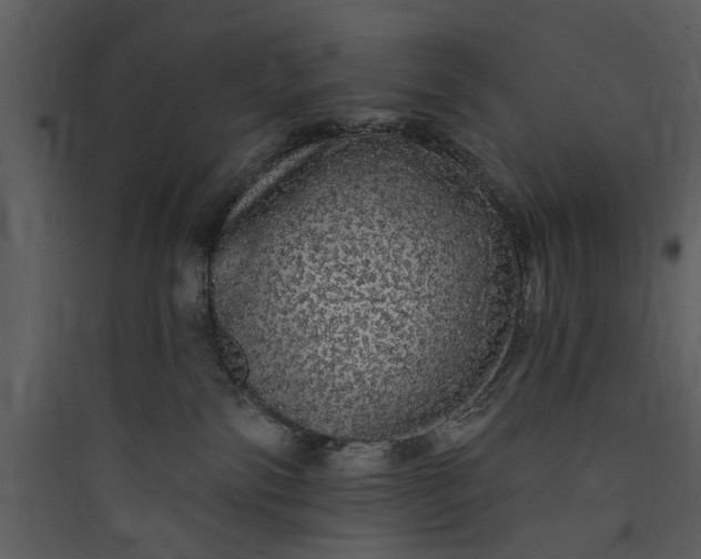 X0000089760138200707121411