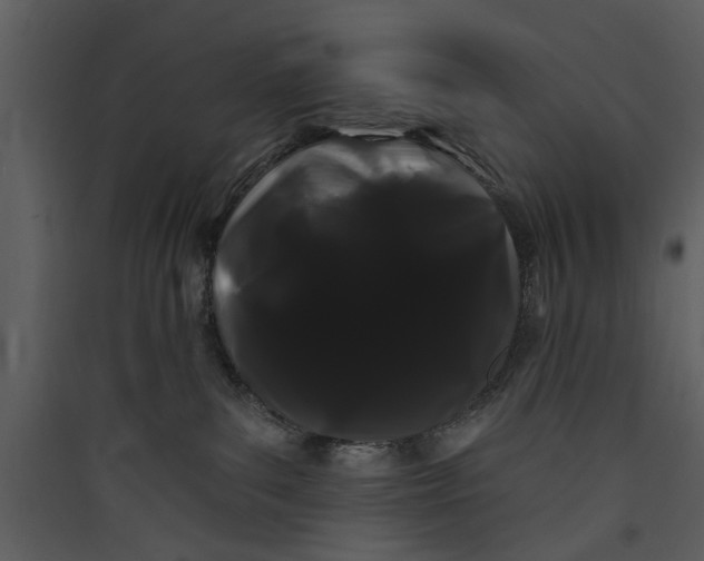 X0000089760139200707121411