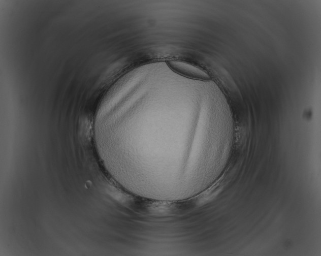 X0000089760142200707121411