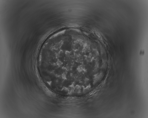 X0000089760145200707121411