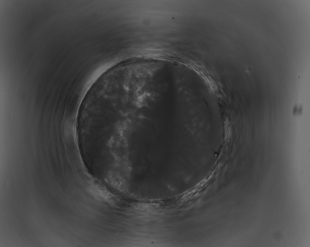X0000089760147200707121411