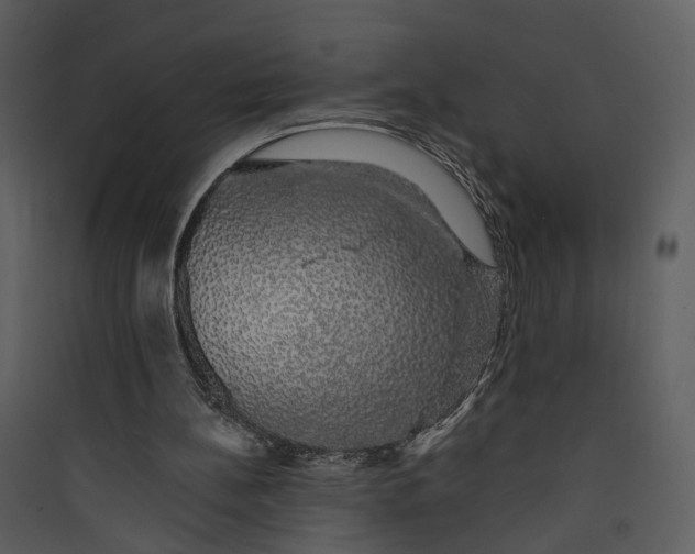 X0000089760148200707121411