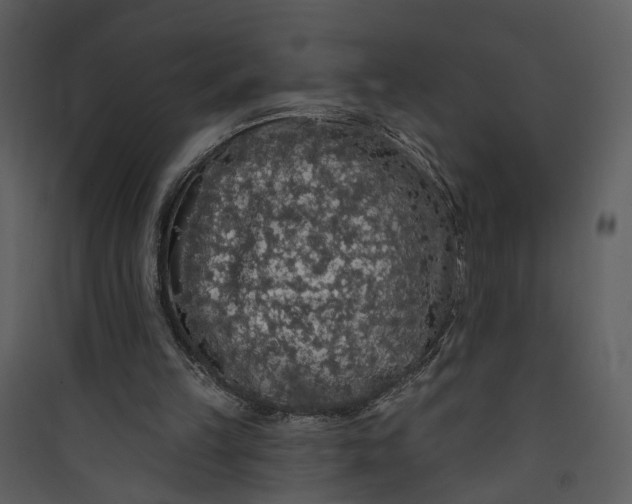 X0000089760149200707121411