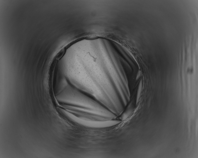 X0000089760150200707121411
