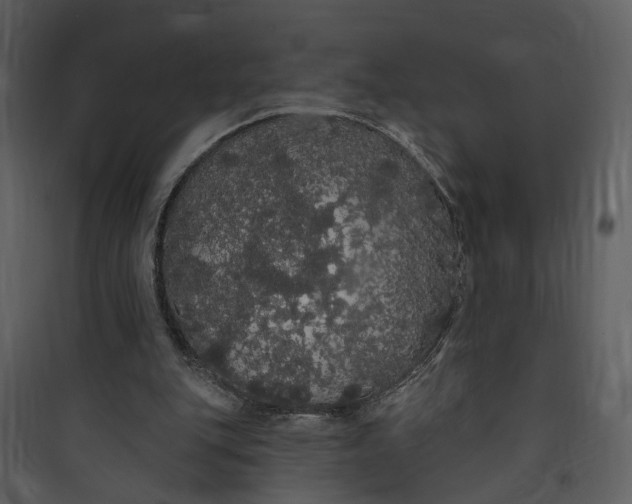 X0000089760151200707121411