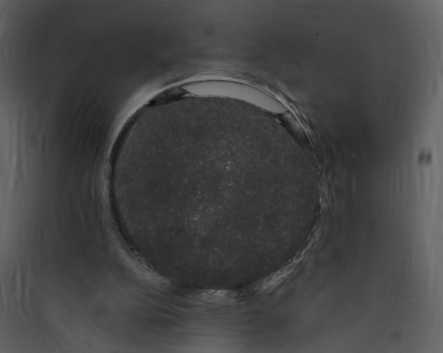 X0000089760152200707121411