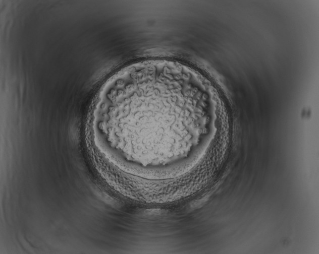 X0000089760153200707121411
