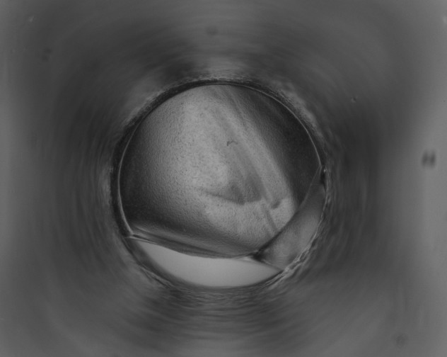 X0000089760154200707121411