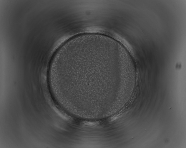 X0000089760155200707121411