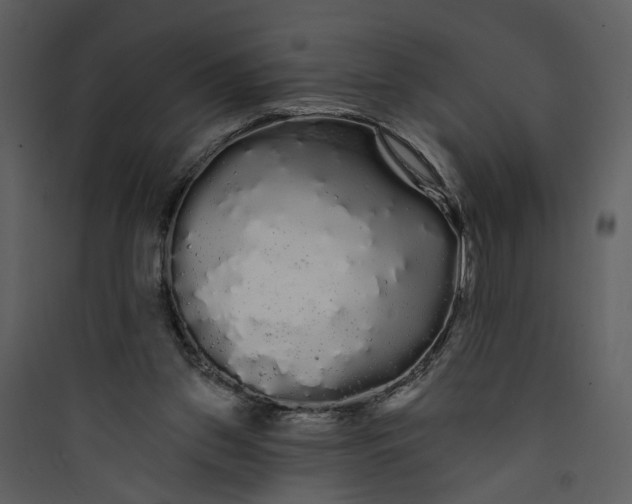 X0000089760157200707121411