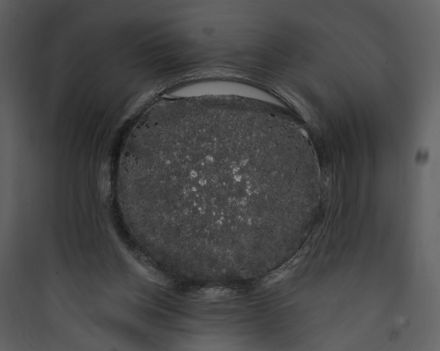 X0000089760158200707121411