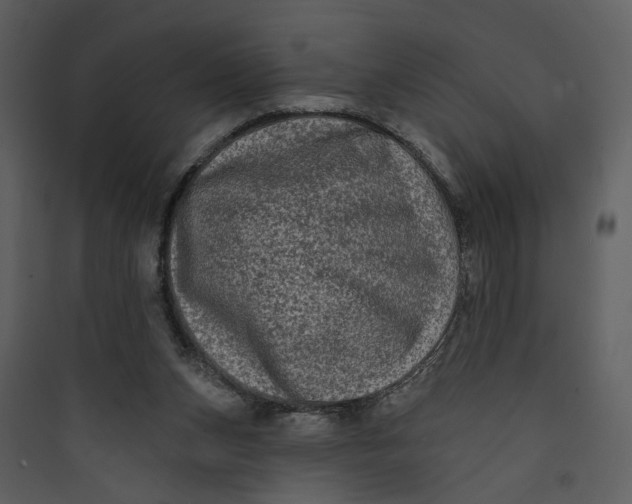 X0000089760159200707121411