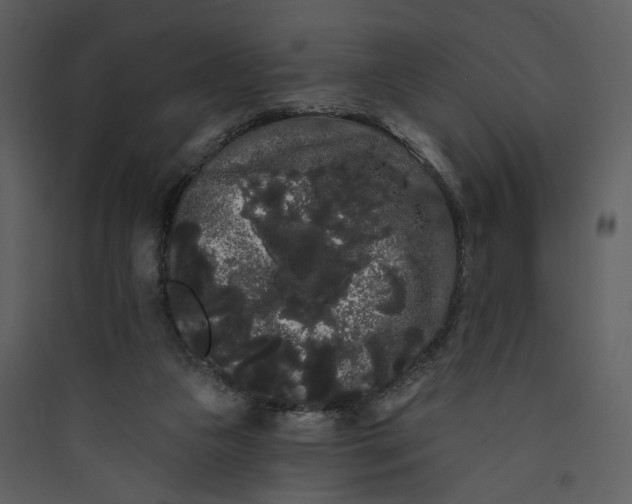 X0000089760161200707121411