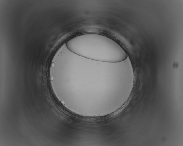 X0000089760162200707121411