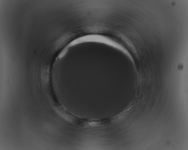 X0000089760163200707121411
