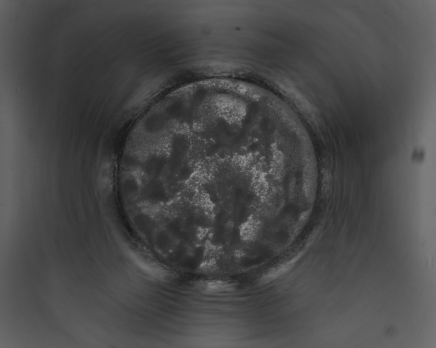 X0000089760165200707121411