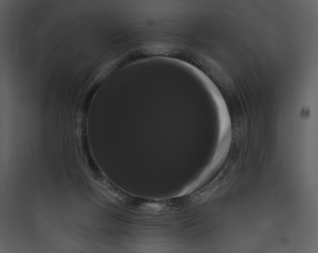 X0000089760167200707121411
