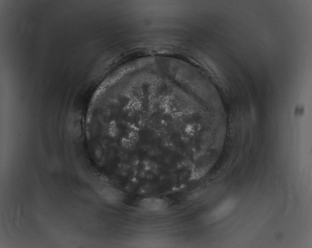 X0000089760169200707121411