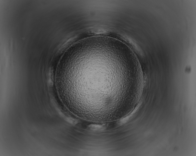 X0000089760170200707121411