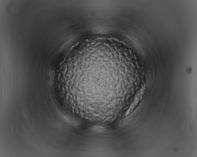 X0000089760171200707121411