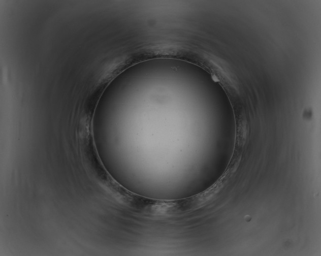 X0000089760172200707121411