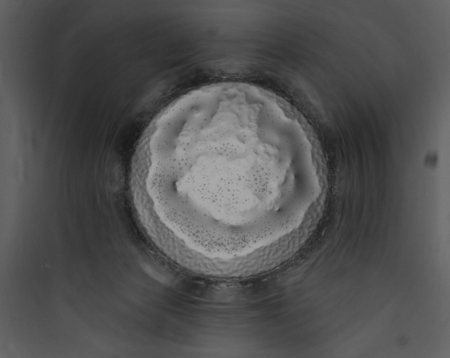 X0000089760173200707121411