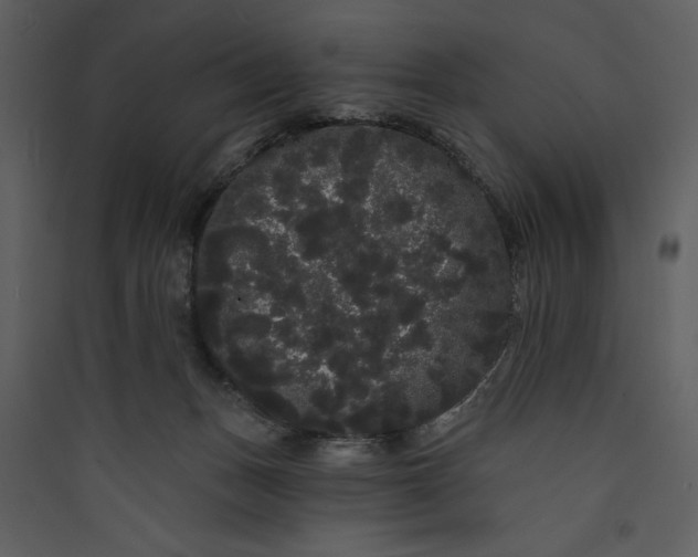 X0000089760175200707121411