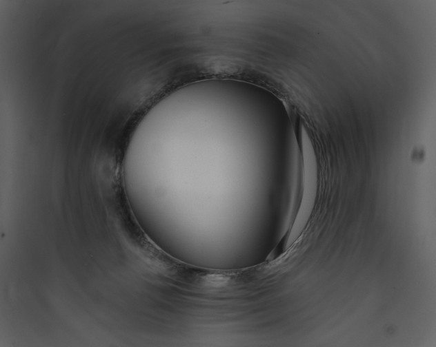 X0000089760176200707121411