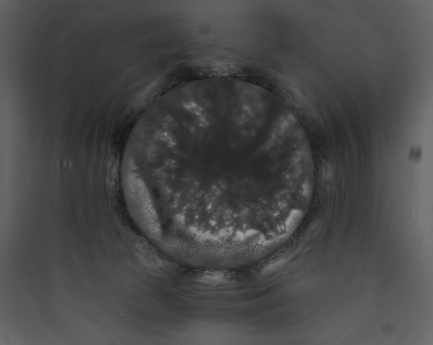 X0000089760177200707121411