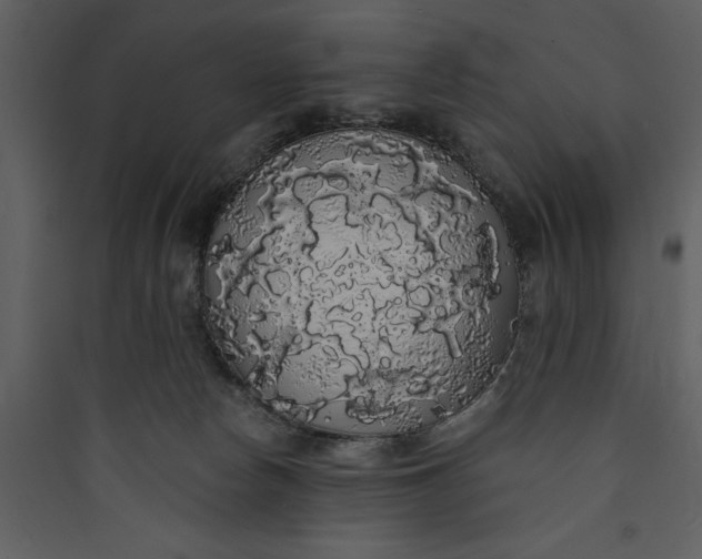 X0000089760178200707121411