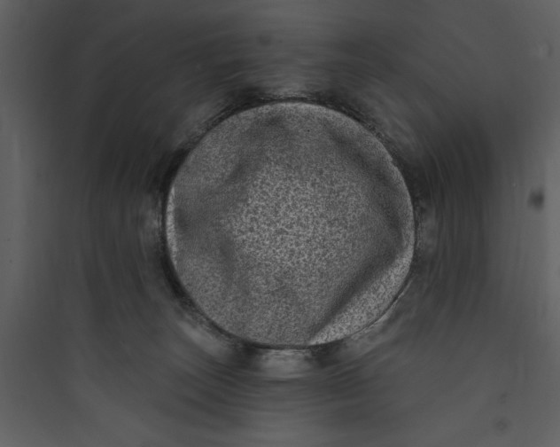 X0000089760179200707121411