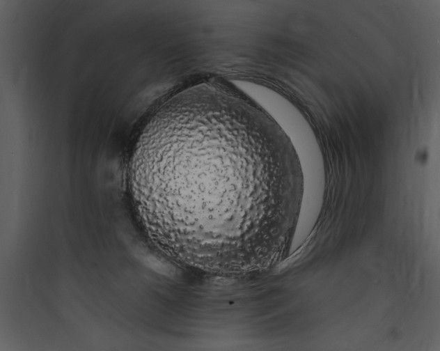 X0000089760180200707121411